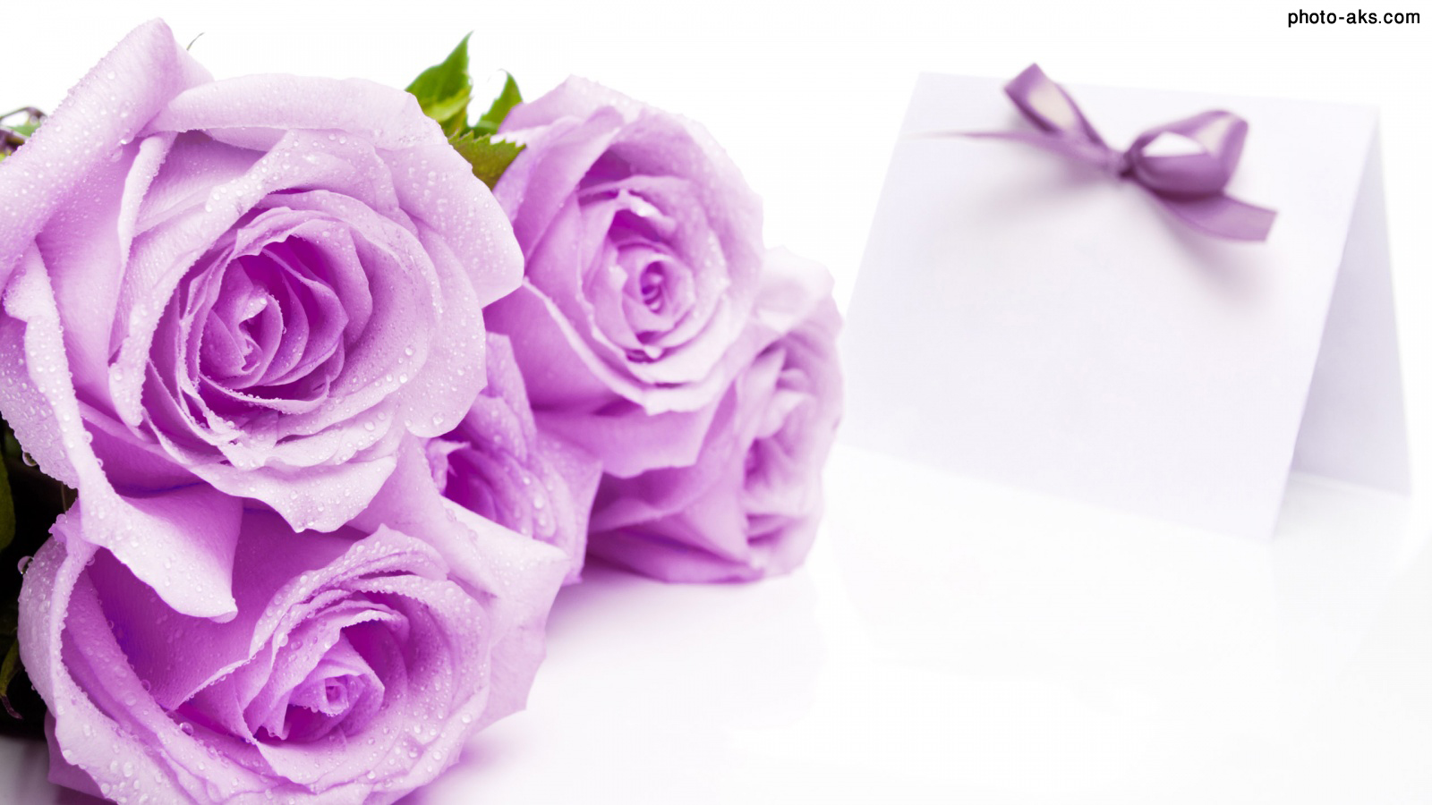 Lilac-Roses[1].jpg